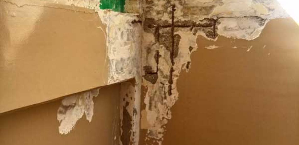 Дрво мозаик