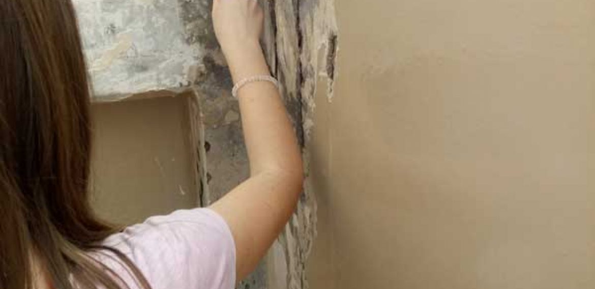 Дрво мозаик