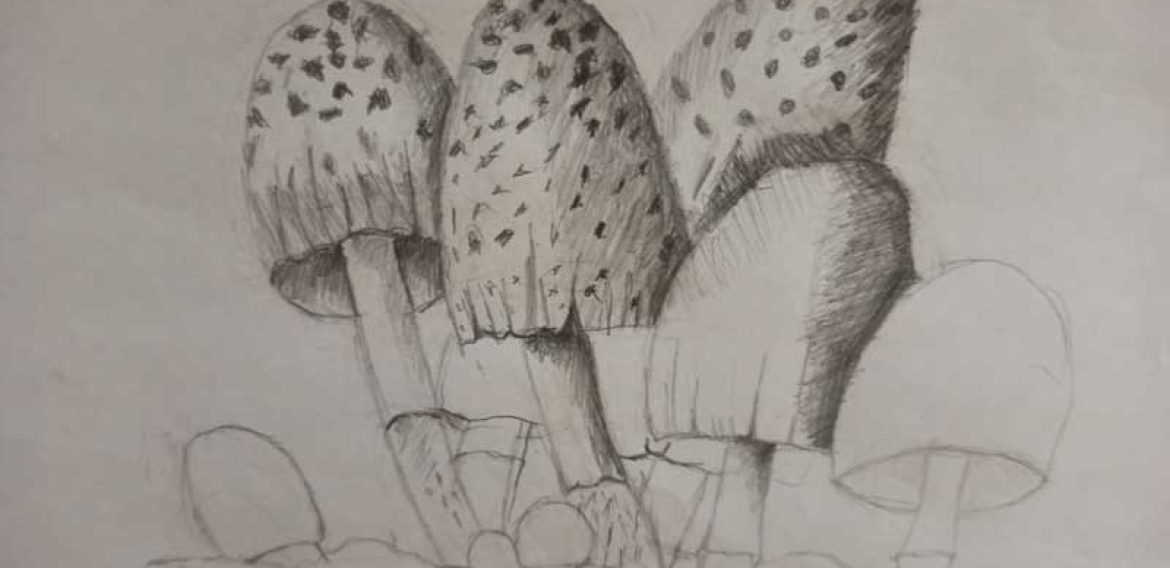 Прва самостална изложба Андрее Лазаревић