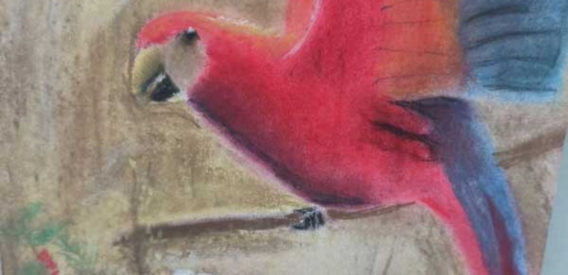 Прва самостална изложба Андрее Лазаревић